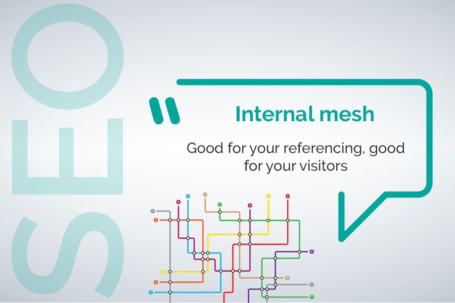 internal mesh